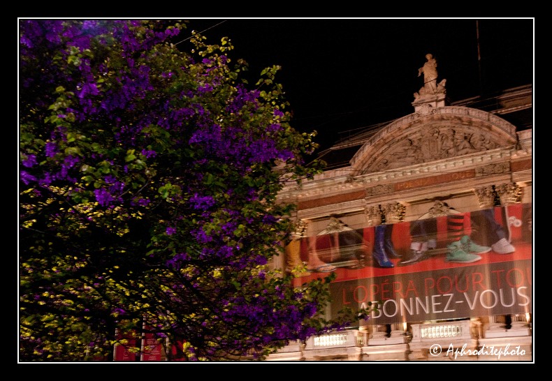137 Le Grand Théâtre sur la place Neuve